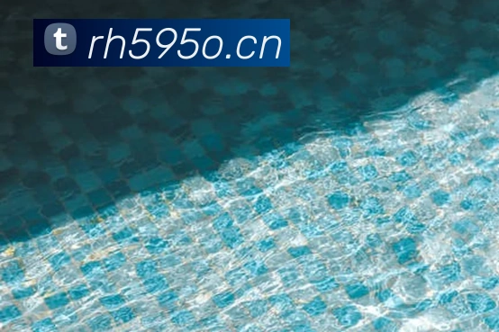 星空体育官方网站入口品牌故事